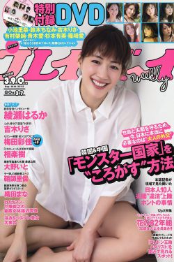 山海情