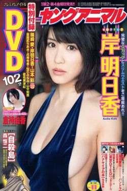 银月公主 共享公主